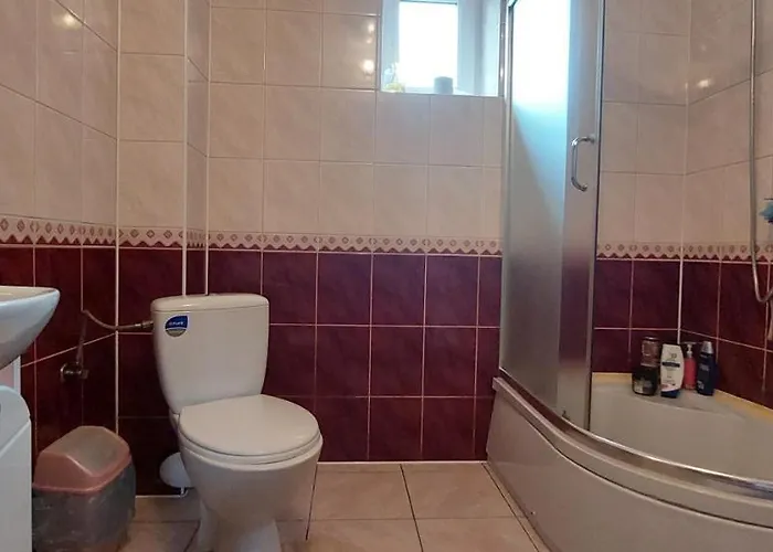 біля погару Slavske
